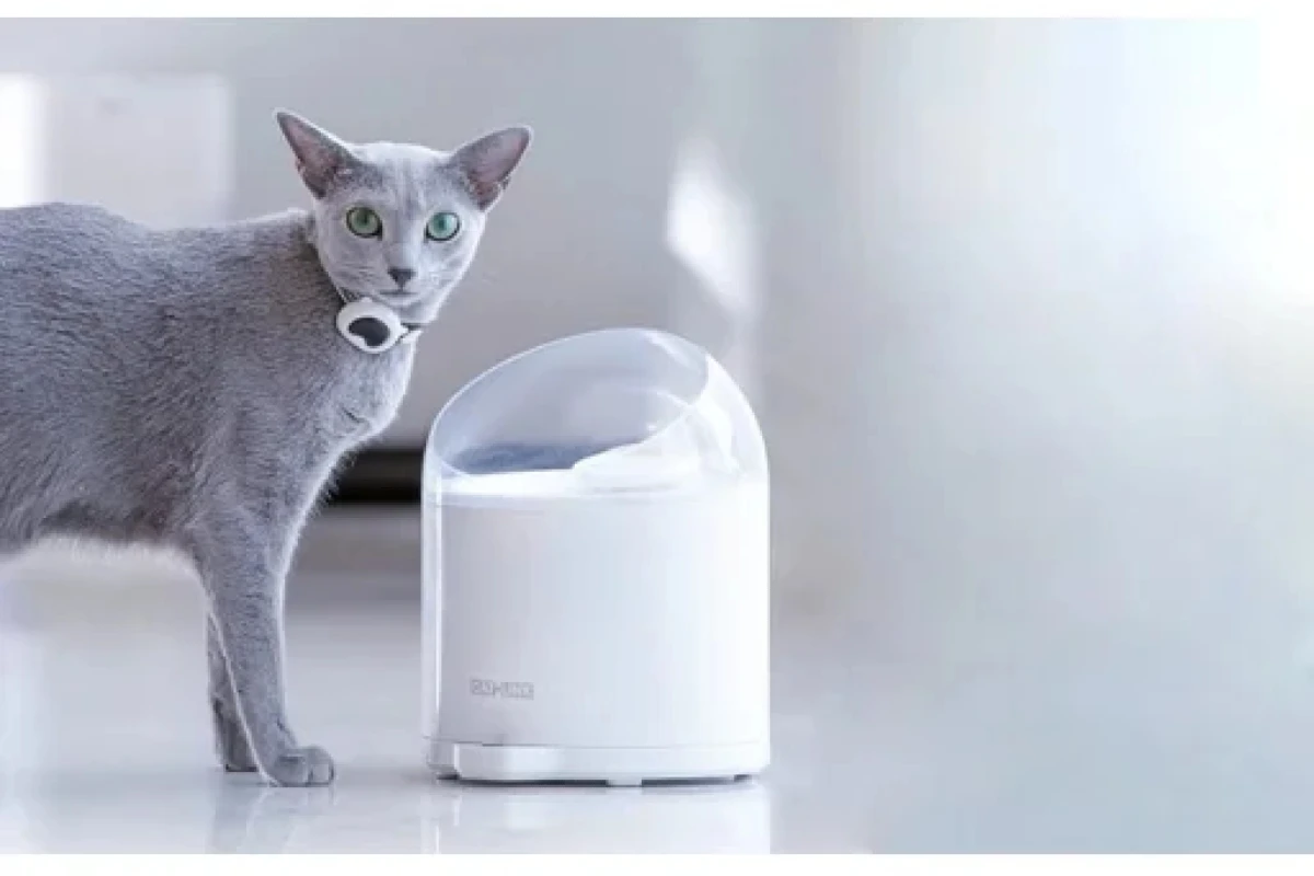 Intelligens vízadagoló is javíthat a macskák egészségén