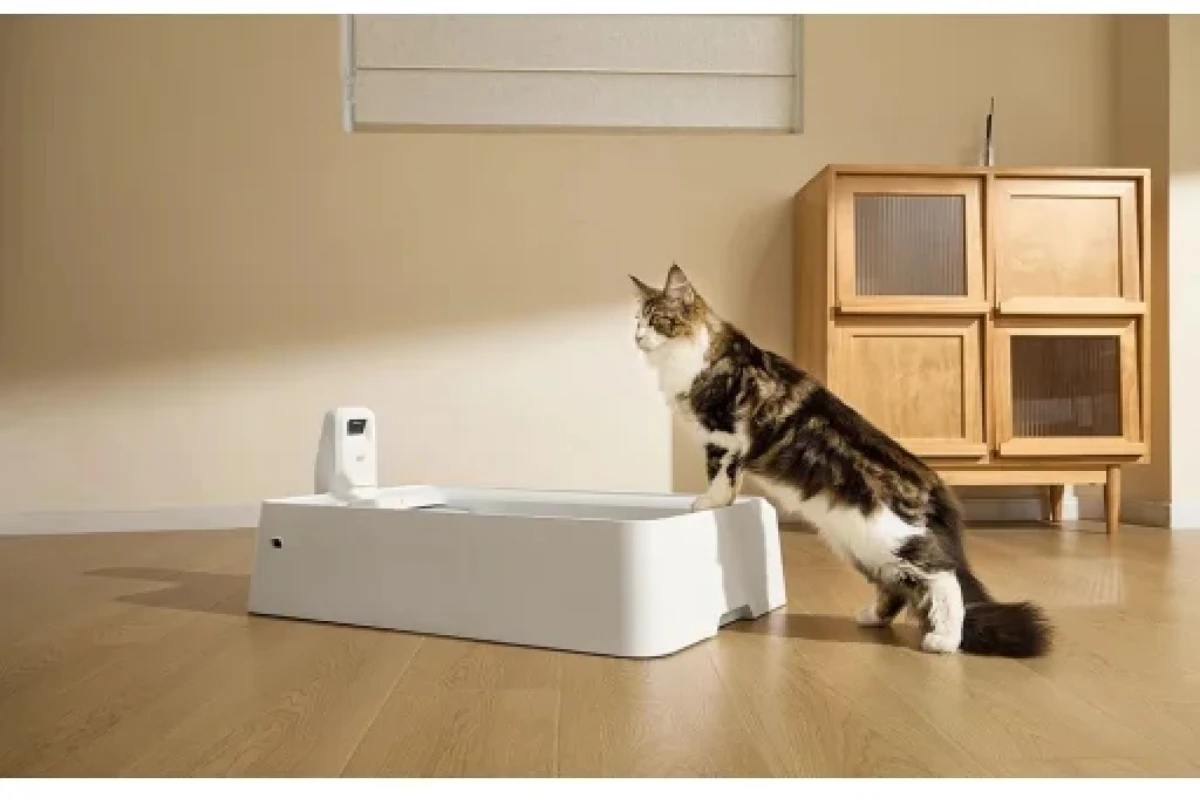 Mit adnak a kisállatoknak és a gazdiknak az okos kiegészítők?