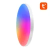 Gosund LB13 30cm Bluetoothos RGB/CW mennyezeti lámpa 16M szín + Távirányító - 5