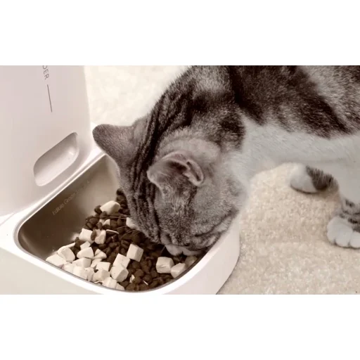 Rojeco 4 literes automata etetőanyag-adagoló gombos verzió (egy tál) - 8