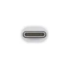 Apple Thunderbolt 3 (USB-C) to Thunderbolt 2 Adapter - 2