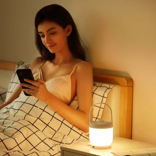 Baseus Moon hordozható vezeték nélküli éjszakai lámpa (DGYB-02) - 15