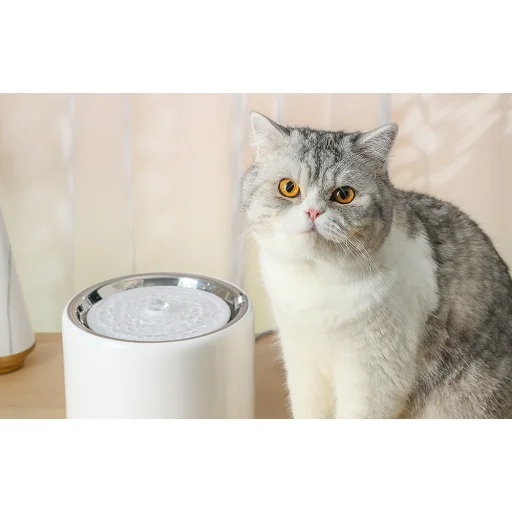PetKit Eversweet Wireless SUS304 itató kutyáknak és macskáknak - 10