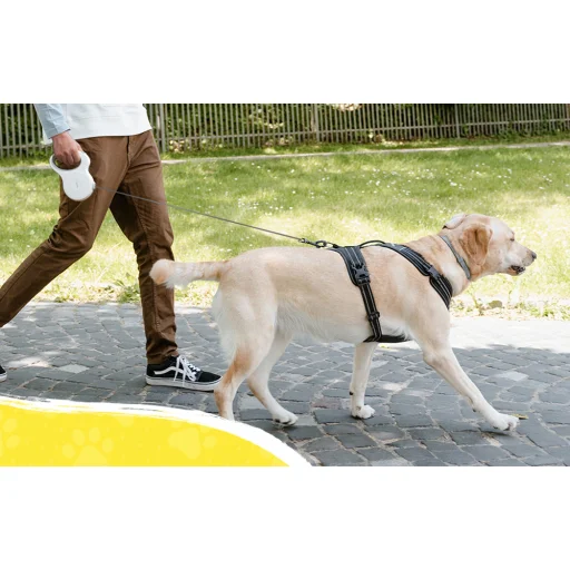 Petsuper Automata Visszahúzható Kutya Póráz 5m (fehér) - 9