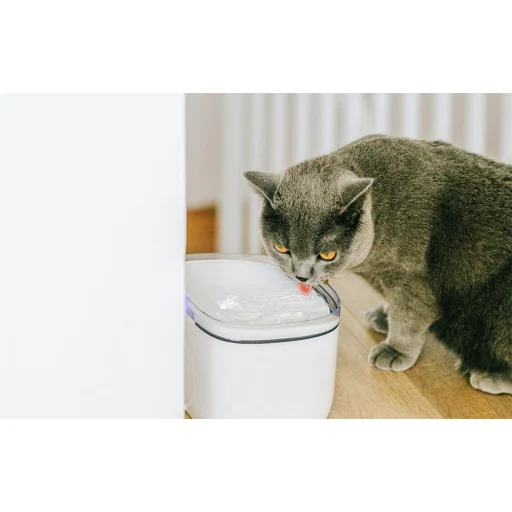 Petoneer Smart Pet Fountain mini szűrő (2 db) - 3