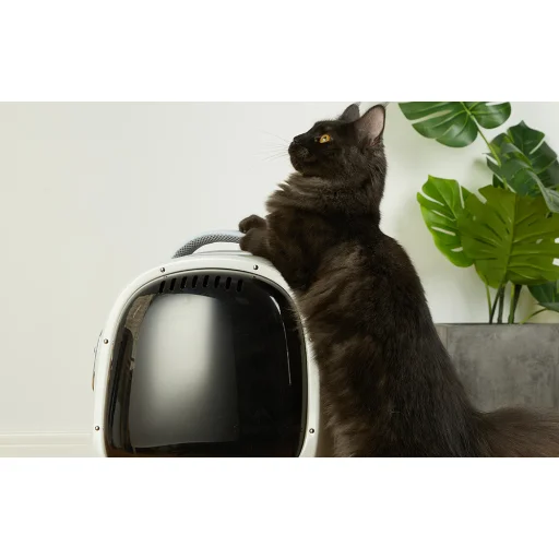 PetKit Breezy 2 Kisállat Utazó Hátizsák (Krém Fehér) - 6