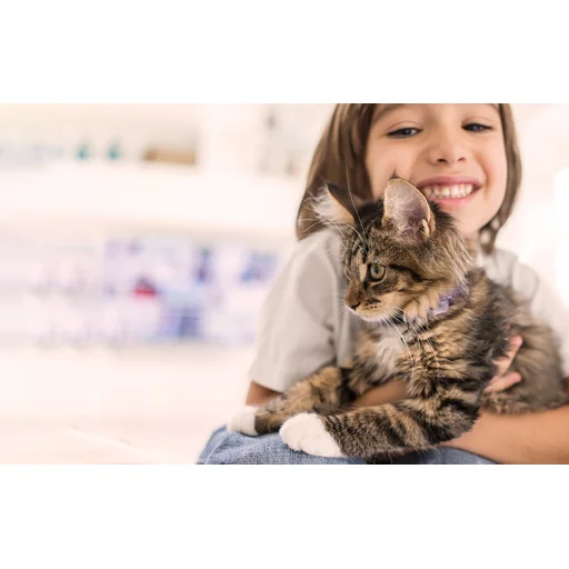 Petoneer Okos szagtalanító - 6