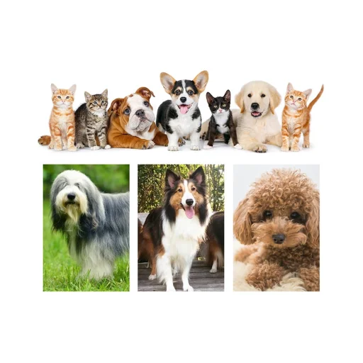 Neakasa P1 PRO kisállat ápoló készlet - 6