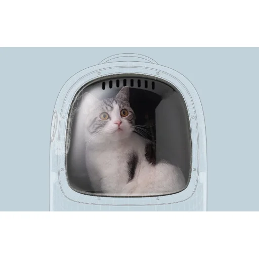 PetKit Breezy 2 Állathordozó táska (Zöld) - 5