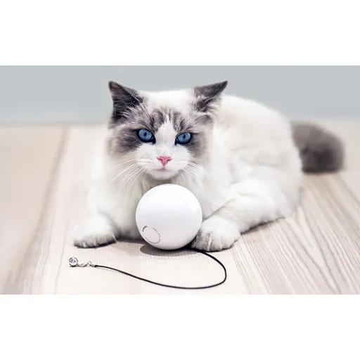 Homerunpet TB10-1 intelligens játék/labdázó golyó kutyáknak/macskáknak - 3