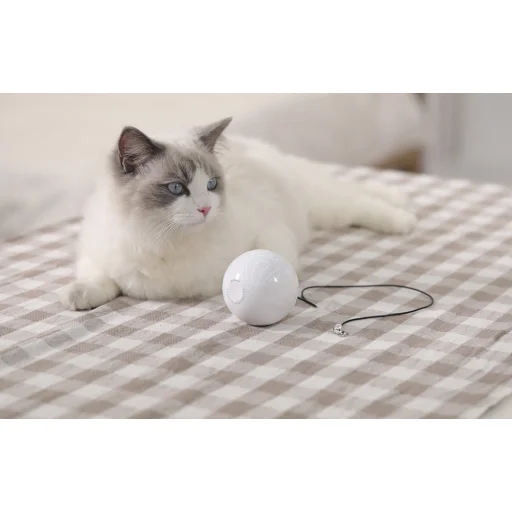 Homerunpet TB10-1 intelligens játék/labdázó golyó kutyáknak/macskáknak - 4