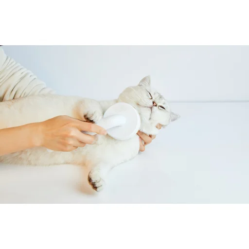 Grooming kefe kutyák és macskák számára Petkit - 6