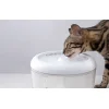 Petsuper PW02 2,5L okos állat ivókút (fehér), thumbnail