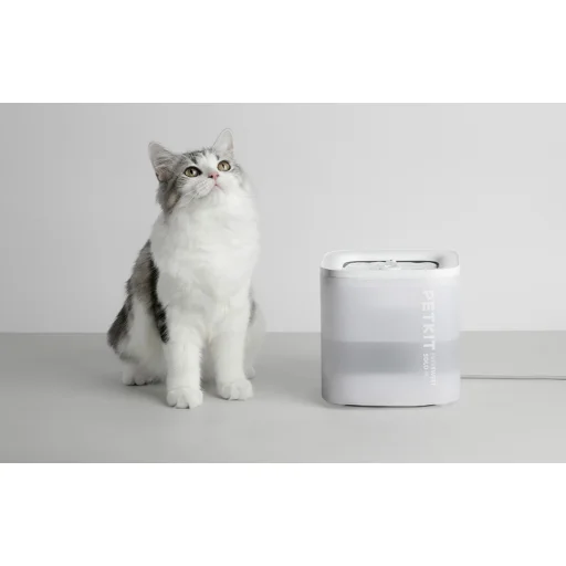 PetKit Eversweet SOLO SE kutya és macska itató - 9