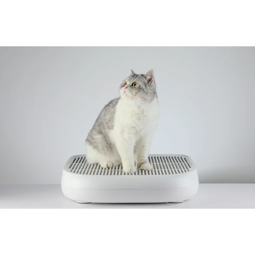 PetKit lépcsőfokok alomtálcákhoz - 5