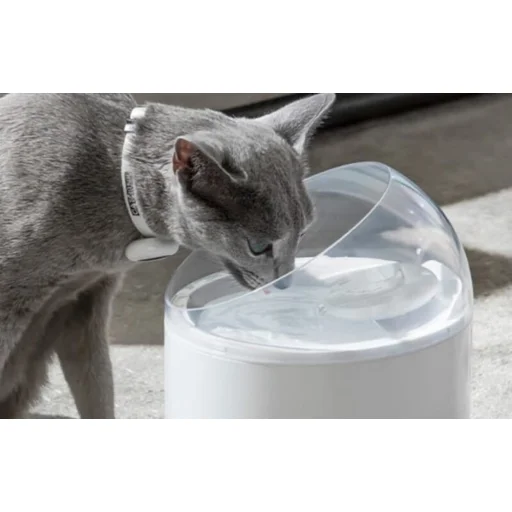 Catlink Pure 2 kisállat szökőkút - 8