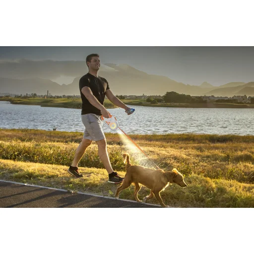 Rojeco kutya automata póráz LED 5 m (lila) - 6