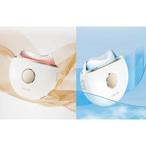 Elektromos arcmasszírozó Guasha ANLAN ANLAN 02-AGSY41-02A - 5