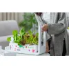 GrowGreen aspara okoscserép Stylist Lite Smart Grower thumbnail