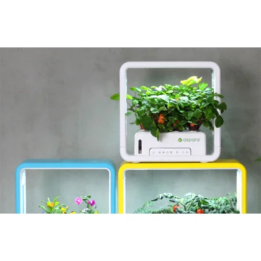 GrowGreen aspara okoscserép Stylist Lite Smart Grower - 9