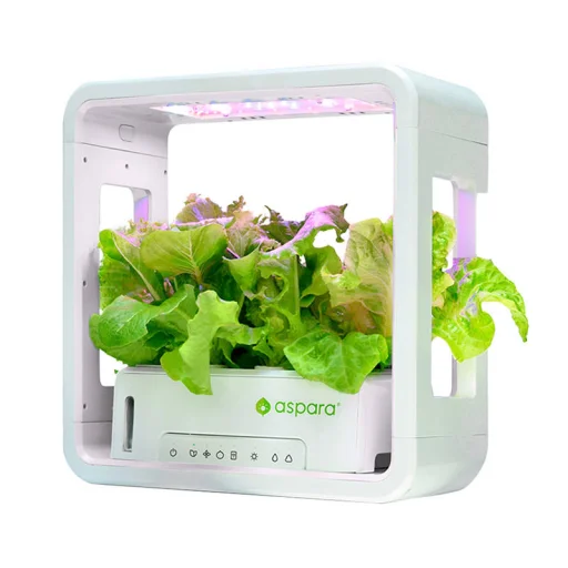GrowGreen aspara okoscserép Stylist Lite Smart Grower - 1