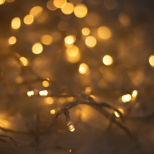 Fényfüzér 100LED 8m meleg fehér Örök Fény - 5