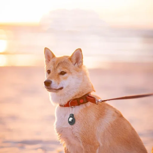 Tech-protect Rough Vein 2-pack Apple Airtag Tok Fekete - 5