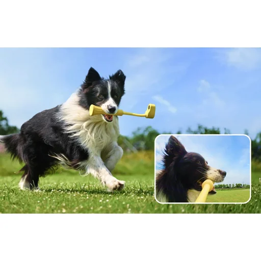 Insta360 GO 3 Kisállat játék selfie bot - 5