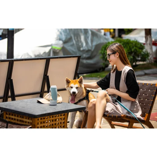 Travel Bottle + Storage Box 2in1 Dogness D10 438 ml (Kék) - 3