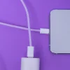 Maxlife MXUC-06 kábel USB-C - Lightning 1,0 m 20W ibolya nylon thumbnail