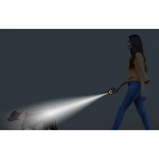 Automata Visszahúzható Kutyapóráz Rojeco 5M (Zöld) - 4