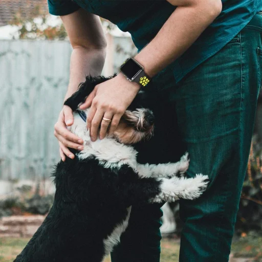 Apple Watch 4/5/6/7/8/SE/Ultra (42/44/45/49mm) Tech-Protect Softband óraszíj fekete/lime - 5