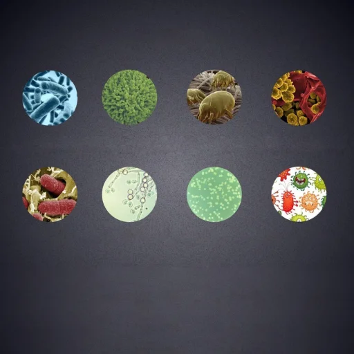 Mini UV UVC sterilizáló fertőtlenítő lámpa Type-C OTG fekete (60683) - 7