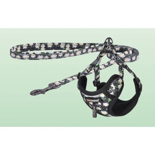 Dogness hám és póráz készlet (Daisy fekete), - 4