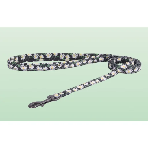 Dogness hám és póráz készlet (Daisy fekete), - 5