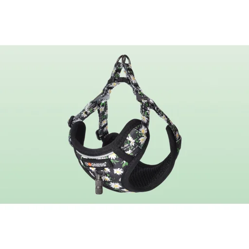 Dogness hám és póráz készlet (Daisy fekete), - 6