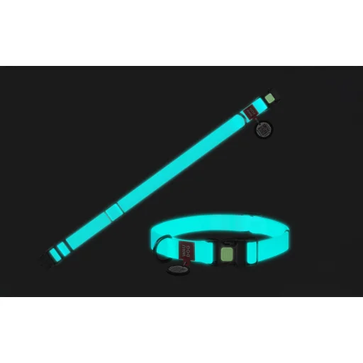 Vízálló világító kutyanyakörv QR útlevéllel WAUDOG 40 mm széles, 46-70 cm hosszú - 7