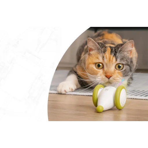 Interaktív Macskajáték Cheerble Wicked Mouse PLUS (kék és fehér) - 10