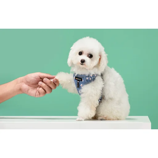 Dogness kutyahám és póráz szett (Kék Virág) - 6