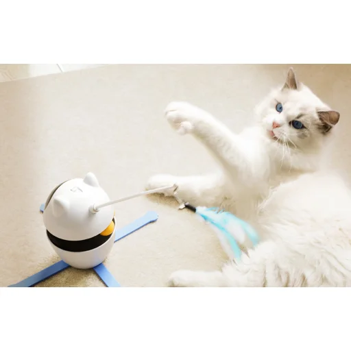 Rojeco 3 az 1-ben Interaktív Macskajáték - 7