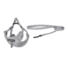 Dogness hám és póráz szett kutyáknak (Világosszürke)