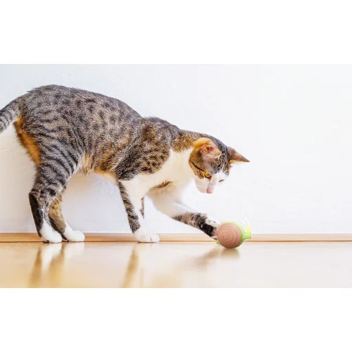 Interaktív macskajáték Cheerble Wicked Snail (barna) - 5