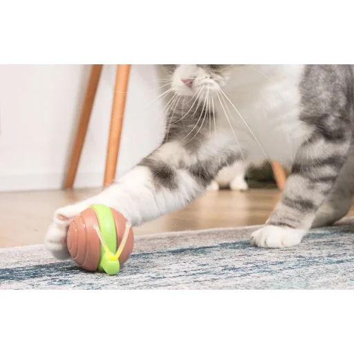 Interaktív macskajáték Cheerble Wicked Snail (barna) - 6