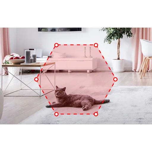 Petoneer IP kamera (1080p) - 4