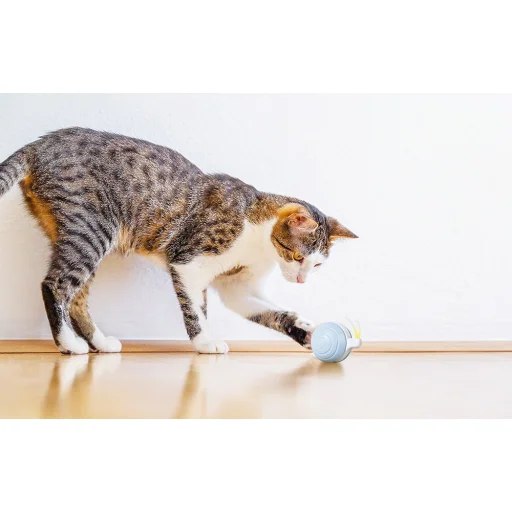 Cheerble Wicked Snail interaktív macskajáték (kék) - 4