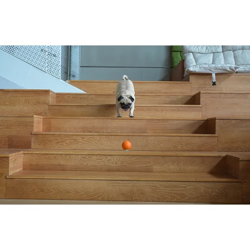 Interaktív Cheerble Wicked Ball kutyáknak (narancs) - 2