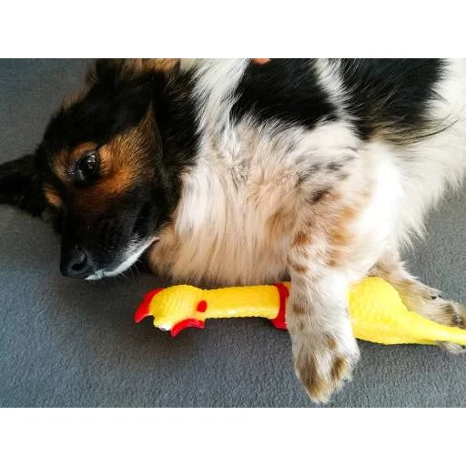 Gumicsirke sípoló játék kutyáknak - 6