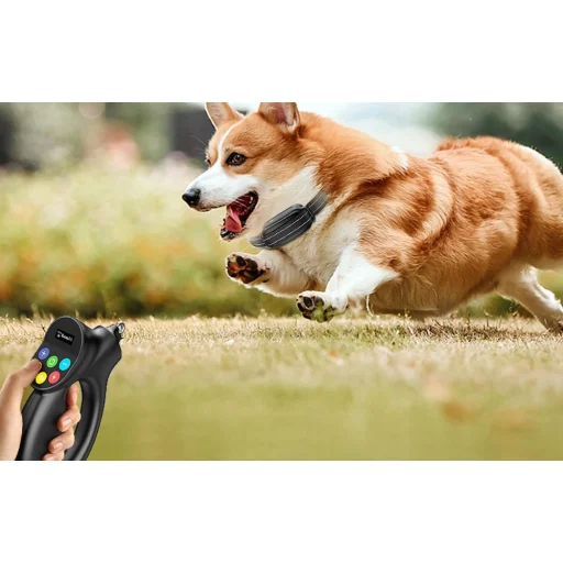 Rojeco PD800 kutyakiképző készülék (fekete) - 5