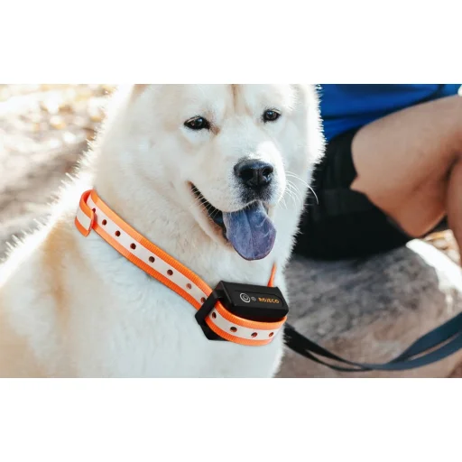 Rojeco PD529 1000m kutyakiképző nyakörv (Fekete) - 4