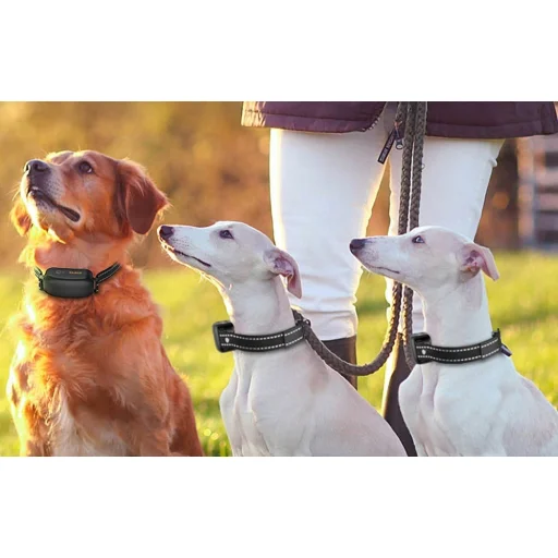 RojecoPD521 1000m Kutyakiképző Nyakörv 2 nyakörvvel (fekete) - 2
